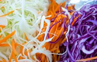 shredded cole slaw