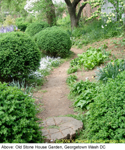 OLD STONE HOUSE GARDEN