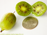 kiwiberry size