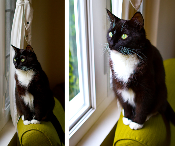 nelly-window-green.jpg
