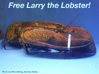 larry-the-lobster-200.jpg