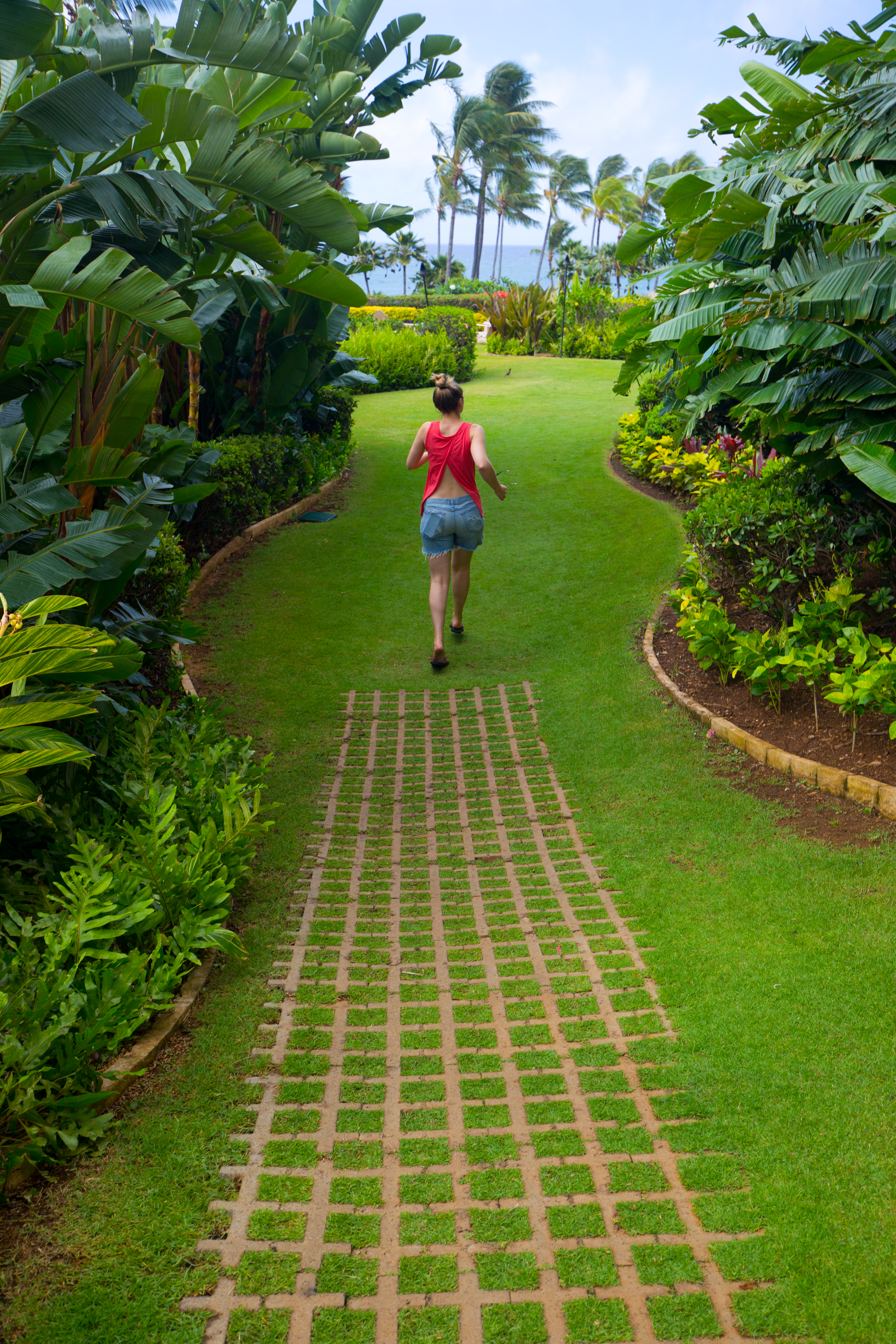 kauai hyatt green grass