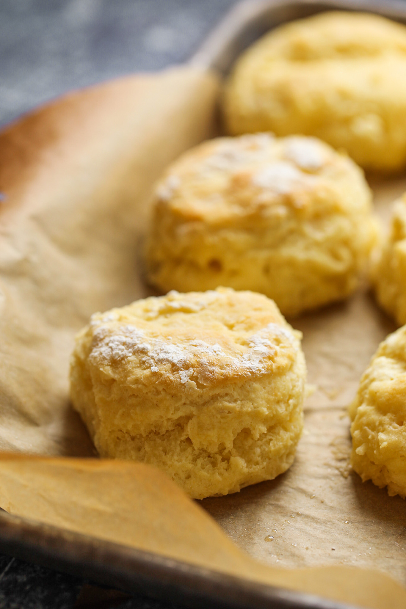 tall buttermilk biscuit in pan