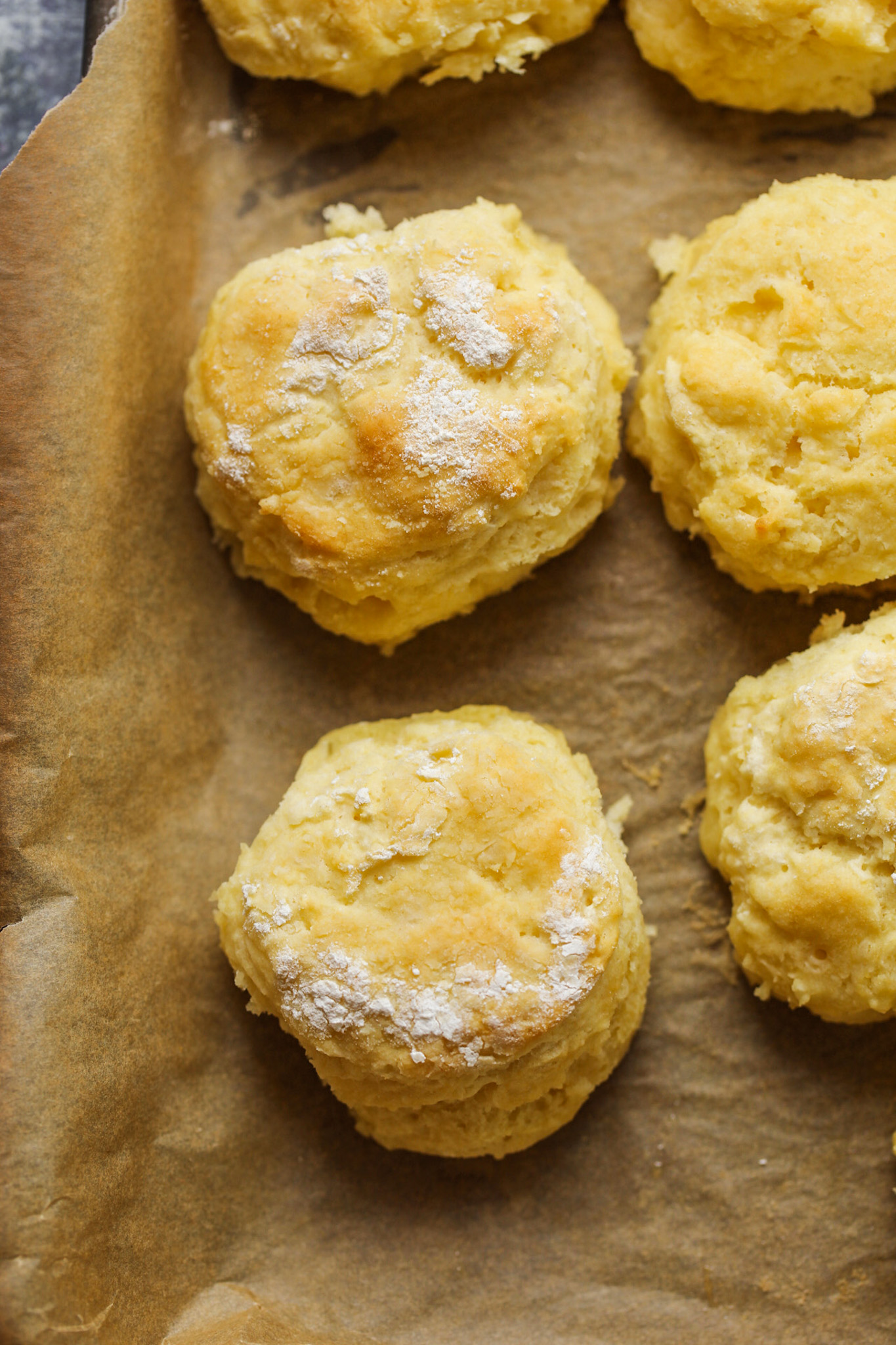 vegan buttermilk biscuits in pan with floured tops