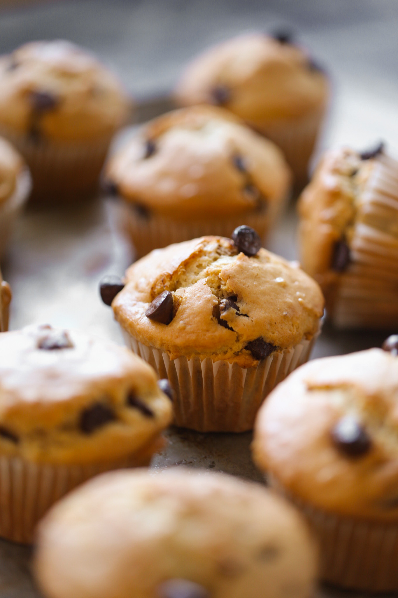 chocolate chip muffins