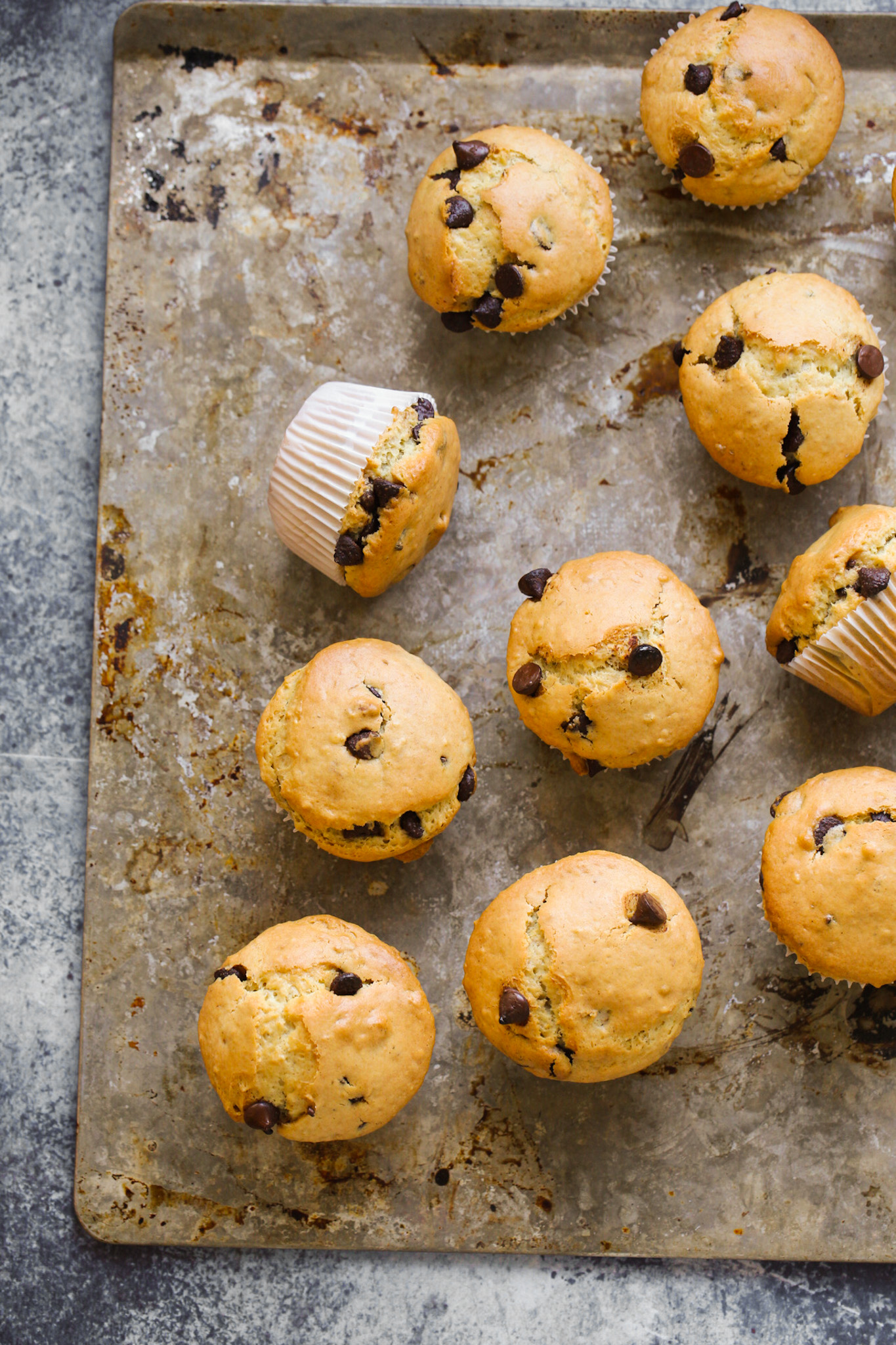 chocolate chip muffins