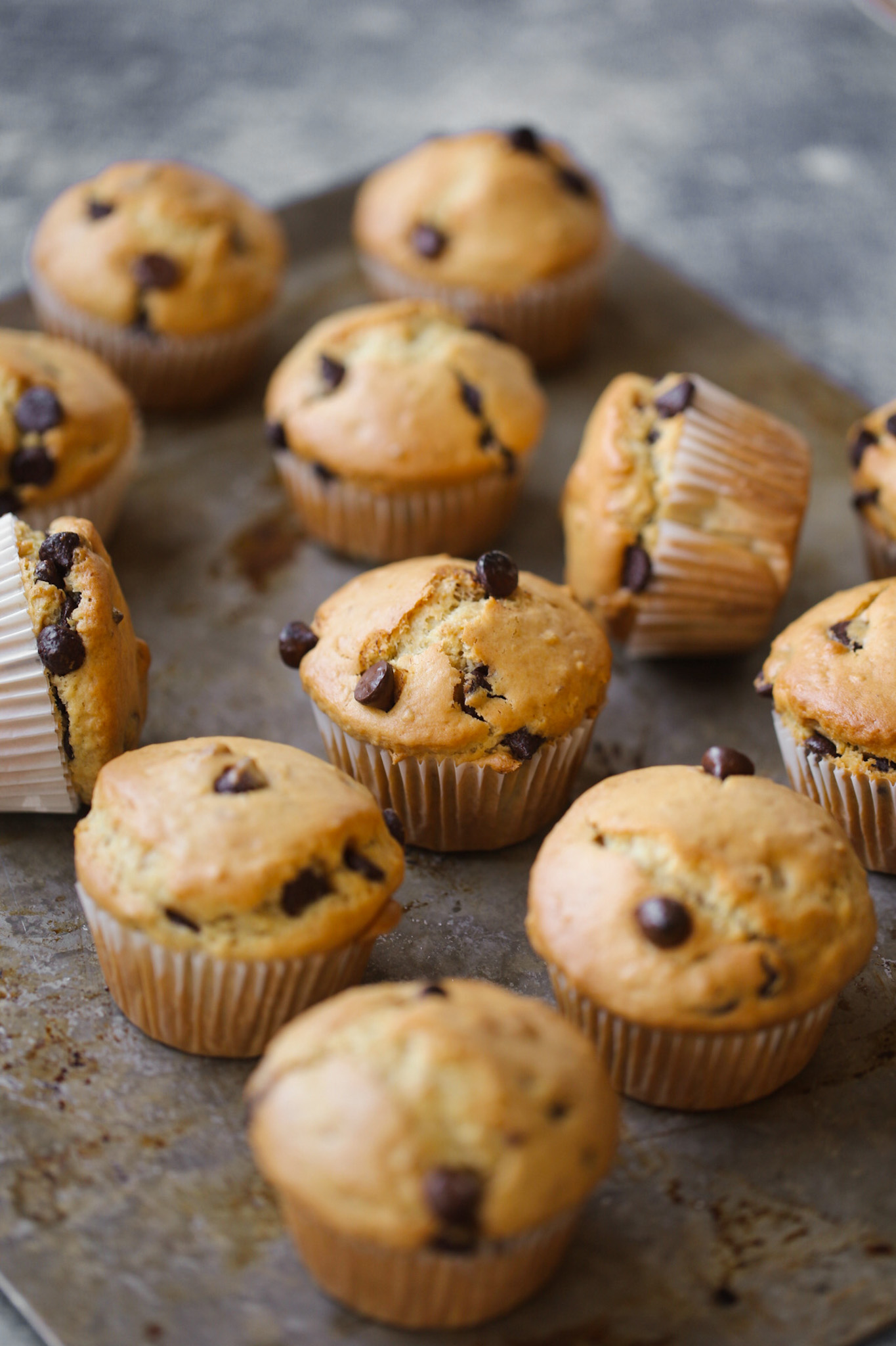 chocolate chip muffins