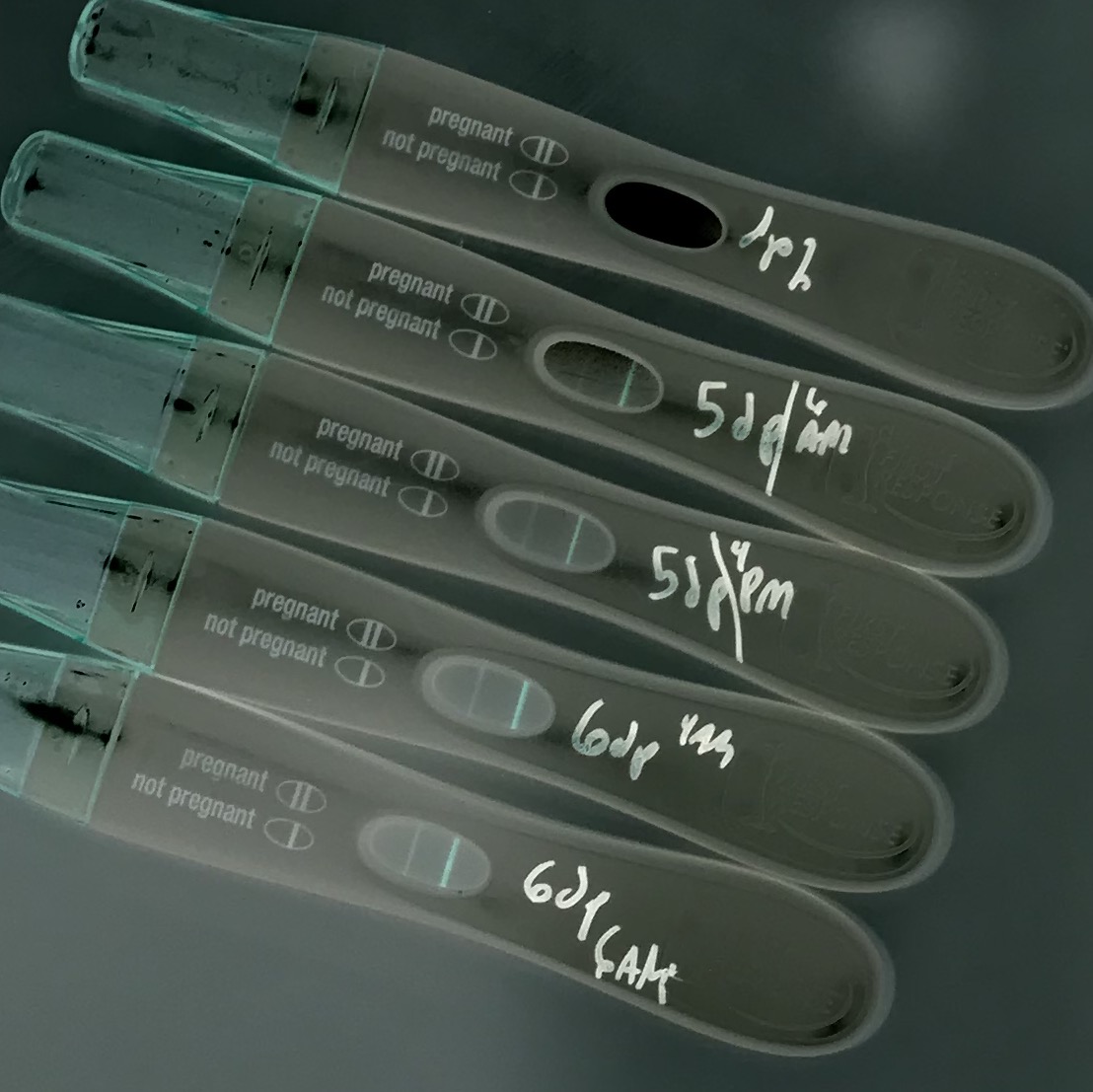 pregnancy tests progression after fet