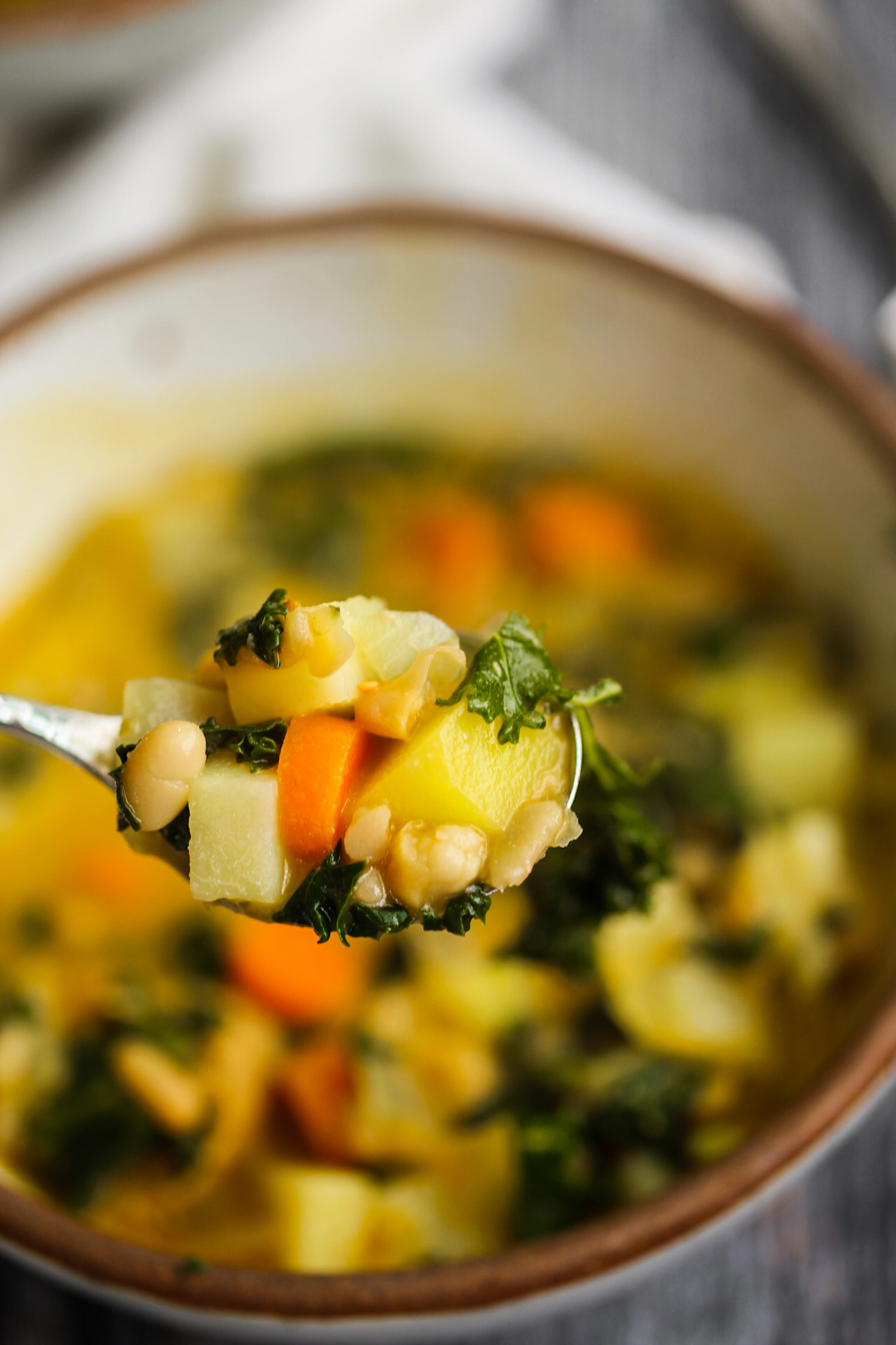 spoonful of bean potato carrot soup