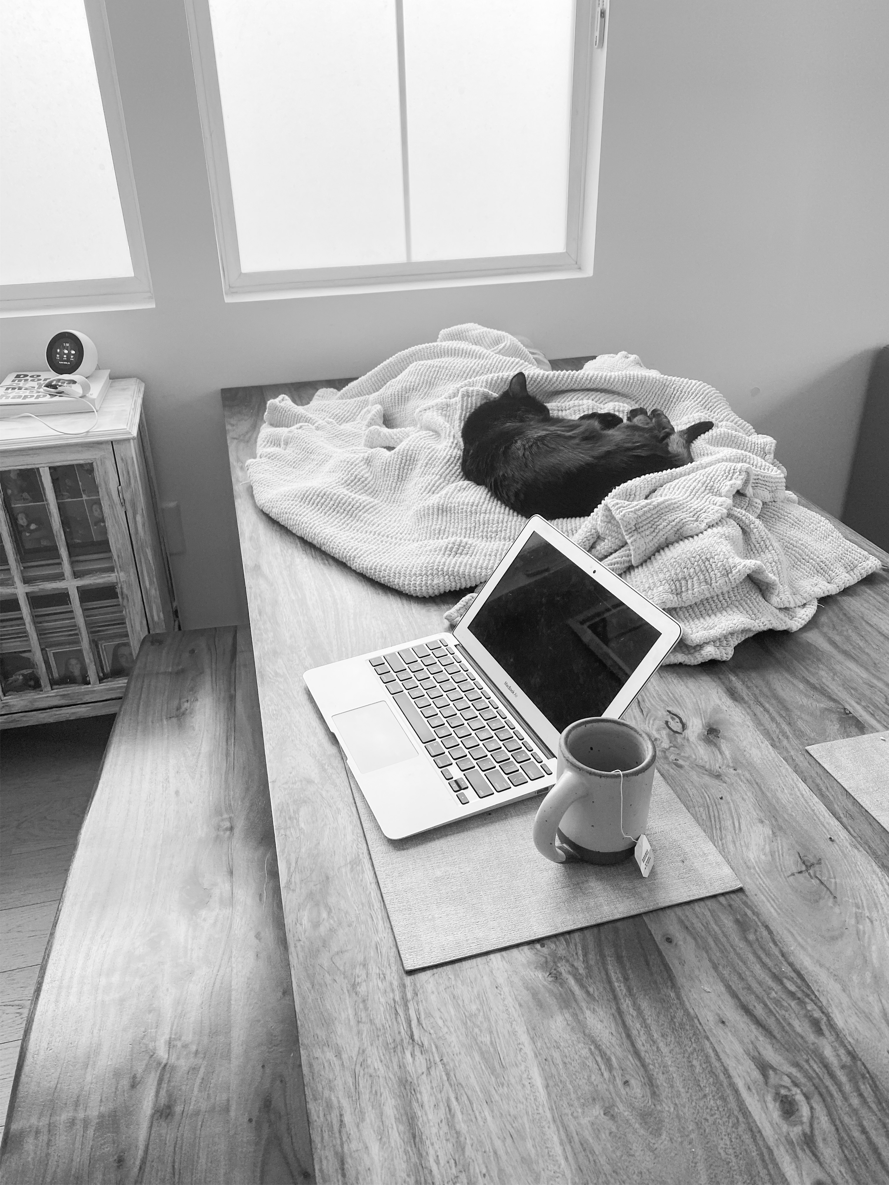 cozy computer setup with cat