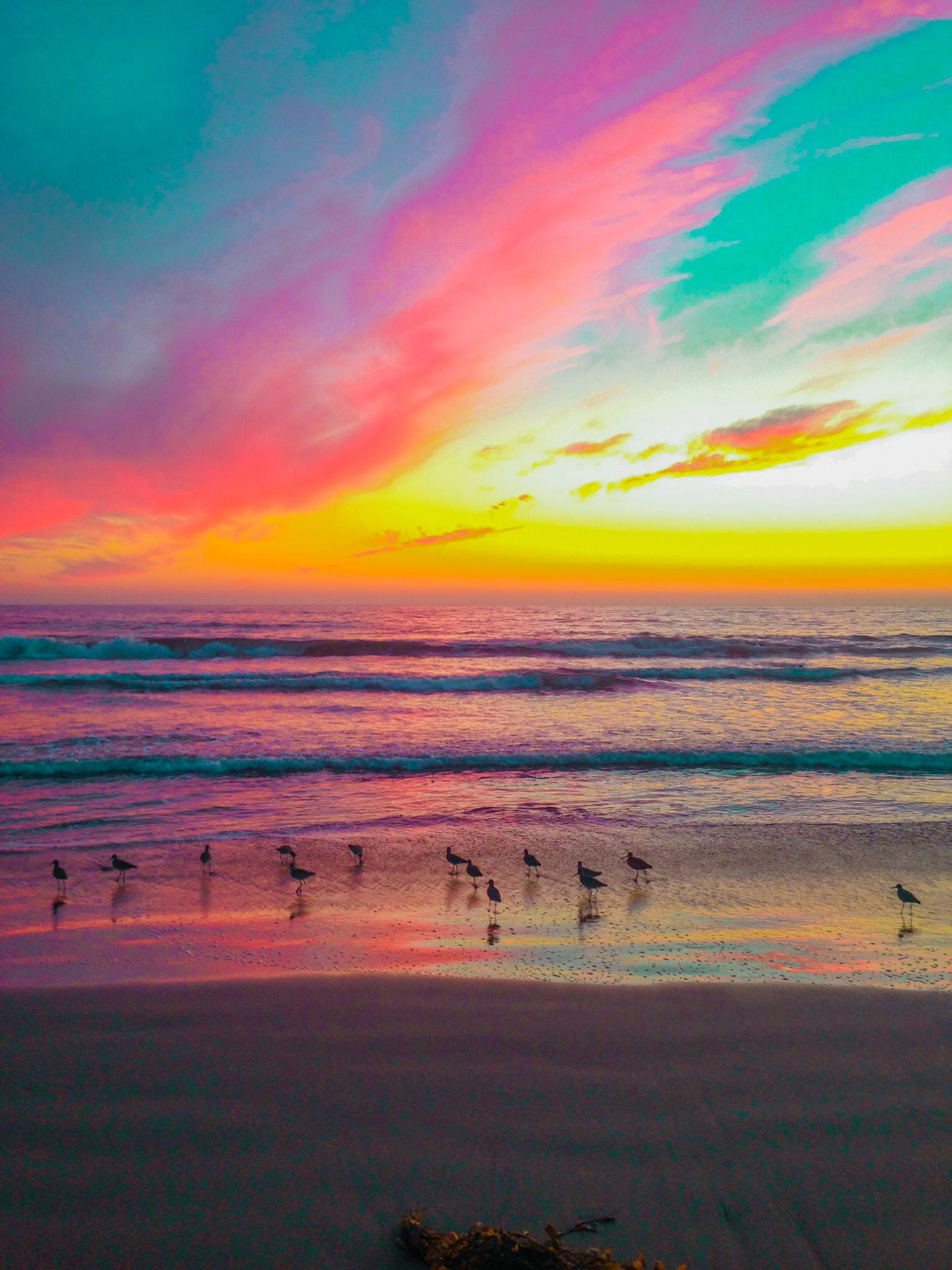 santa monica beach sunset