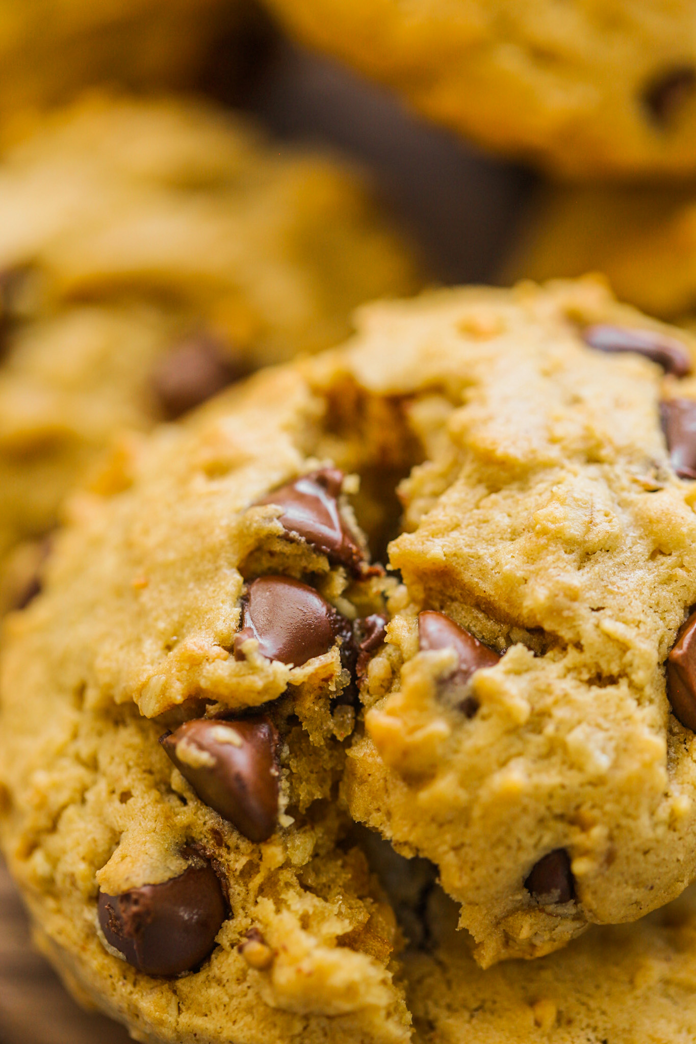 close up of chocolate chips in cookies