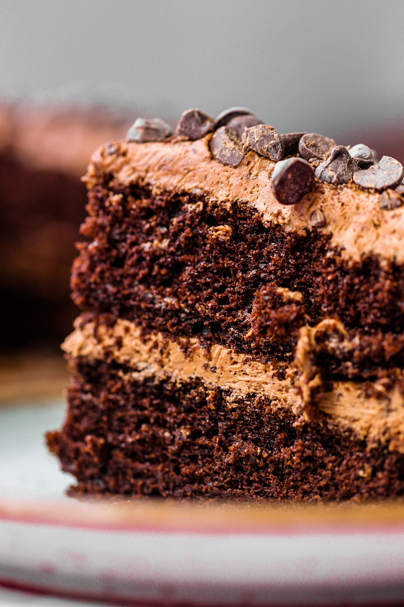 close up of vegan chocolate cake