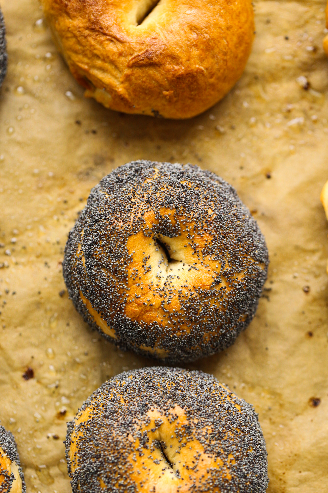 https://healthyhappylife.com/wp-content/uploads/2020/04/homemade-bagels-IMG_7612.jpg