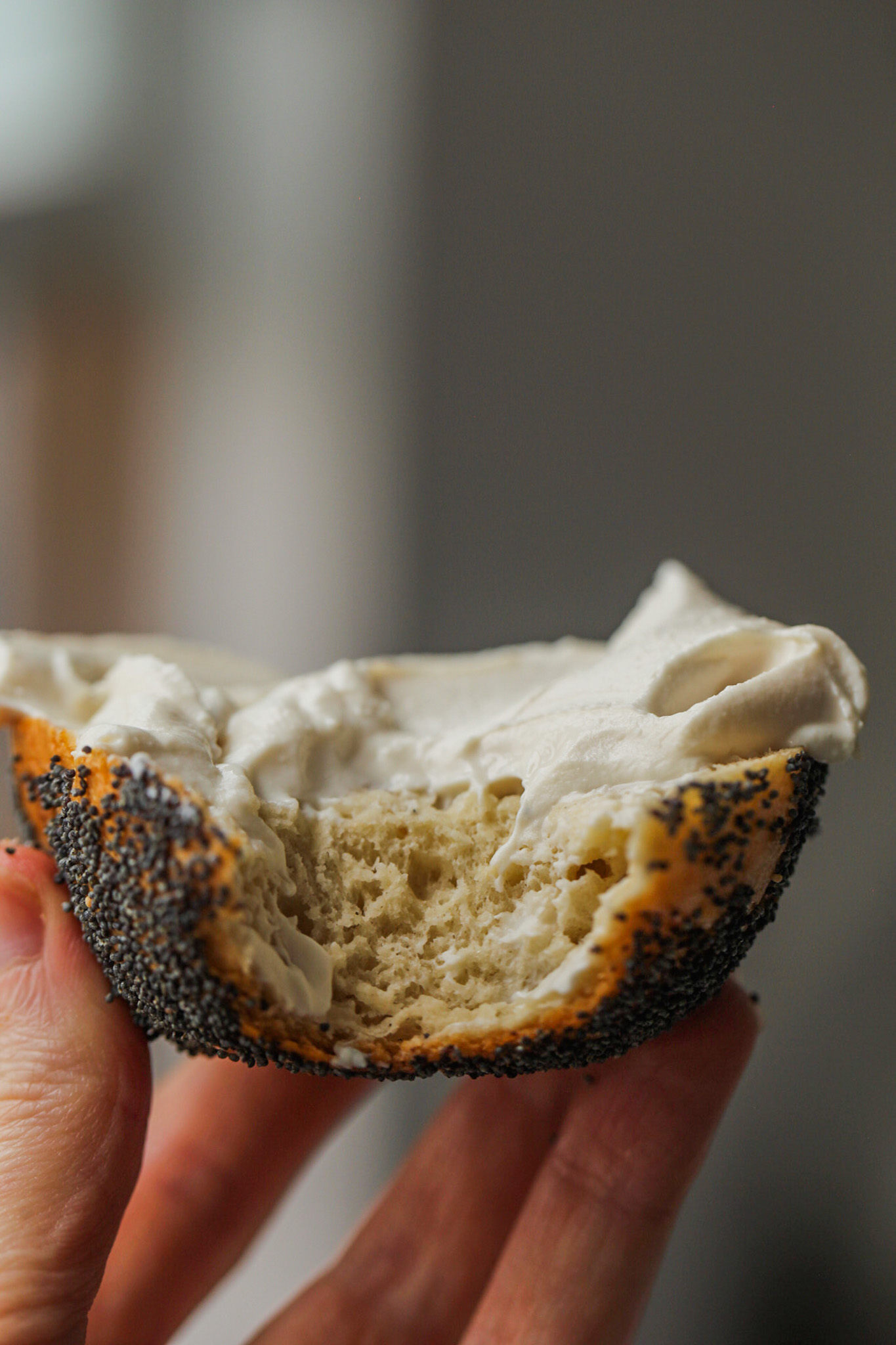 poppyseed bagel with cream cheese