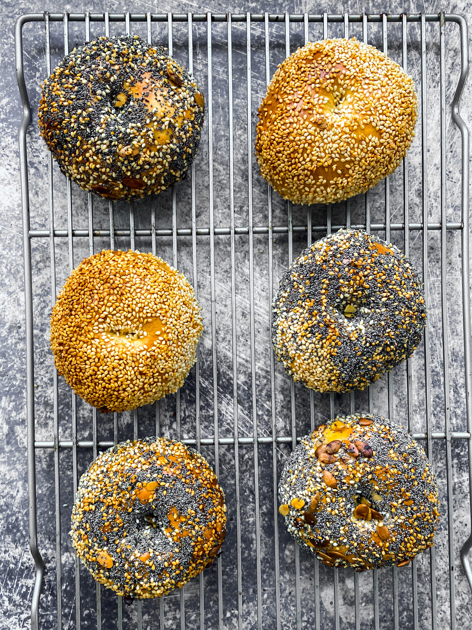 sesame seed bagels