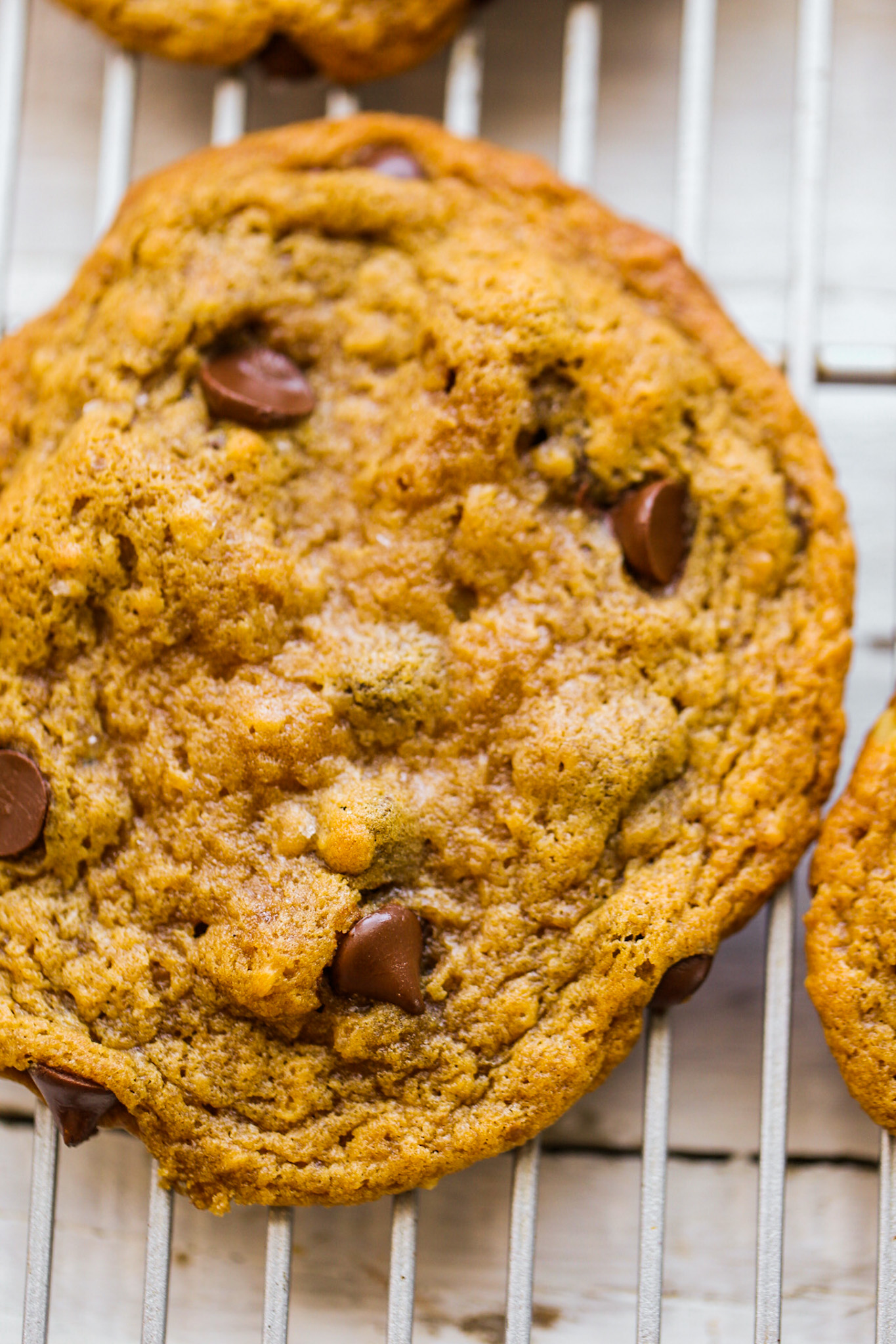 walnut chocolate chip cookies