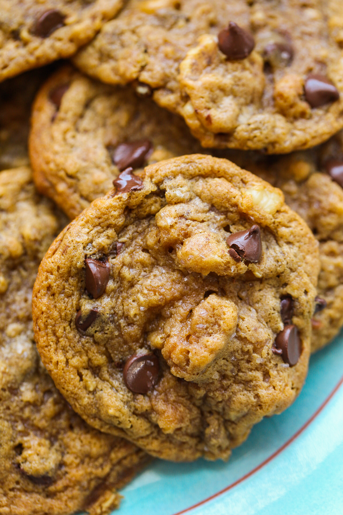 chewy chocolate chip cookies