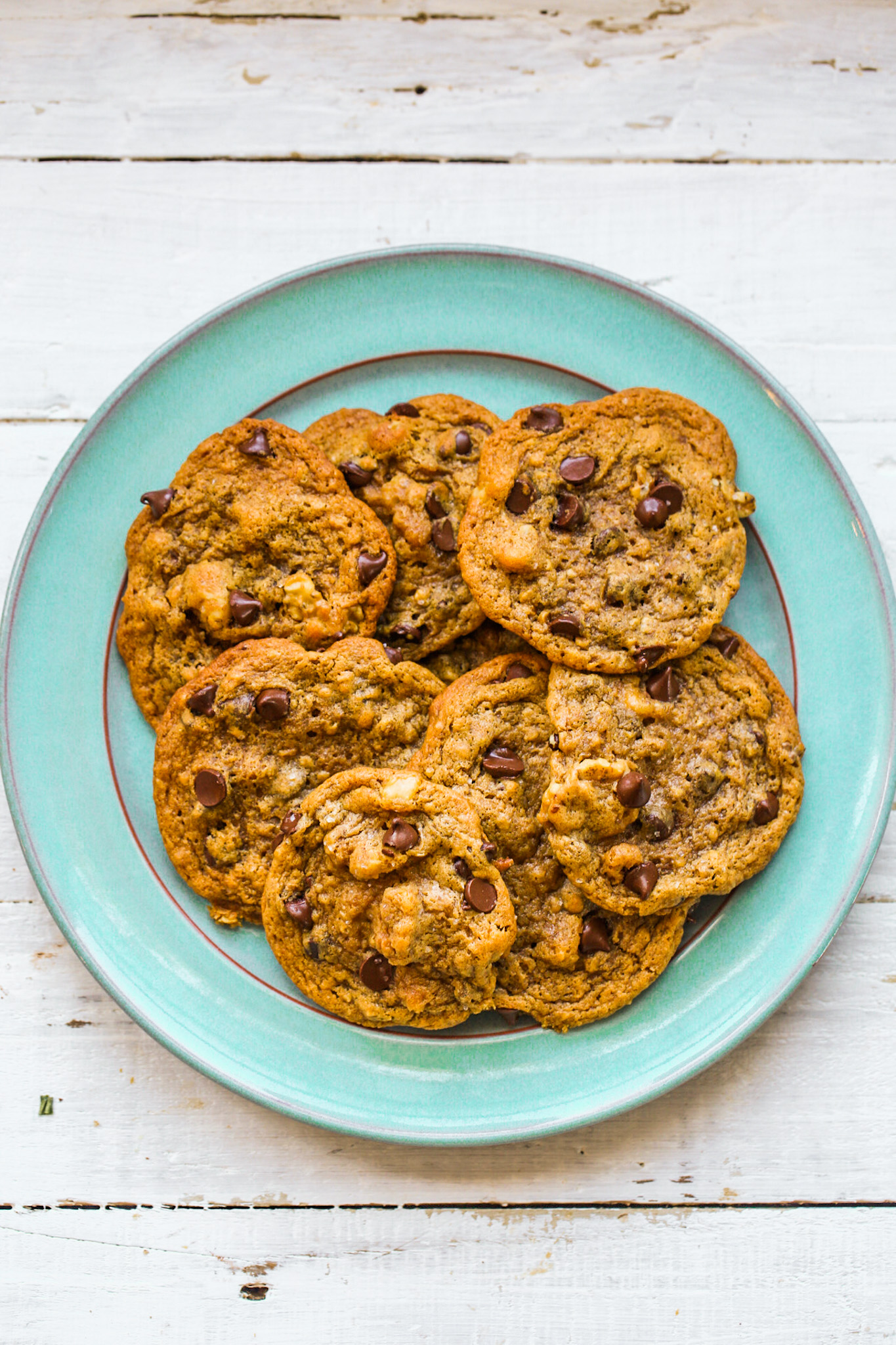 chewy chocolate chip cookies on plate