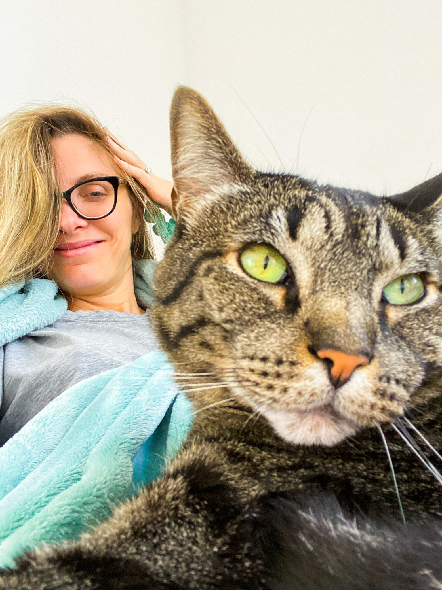 sochi cat couch cuddles pregnant