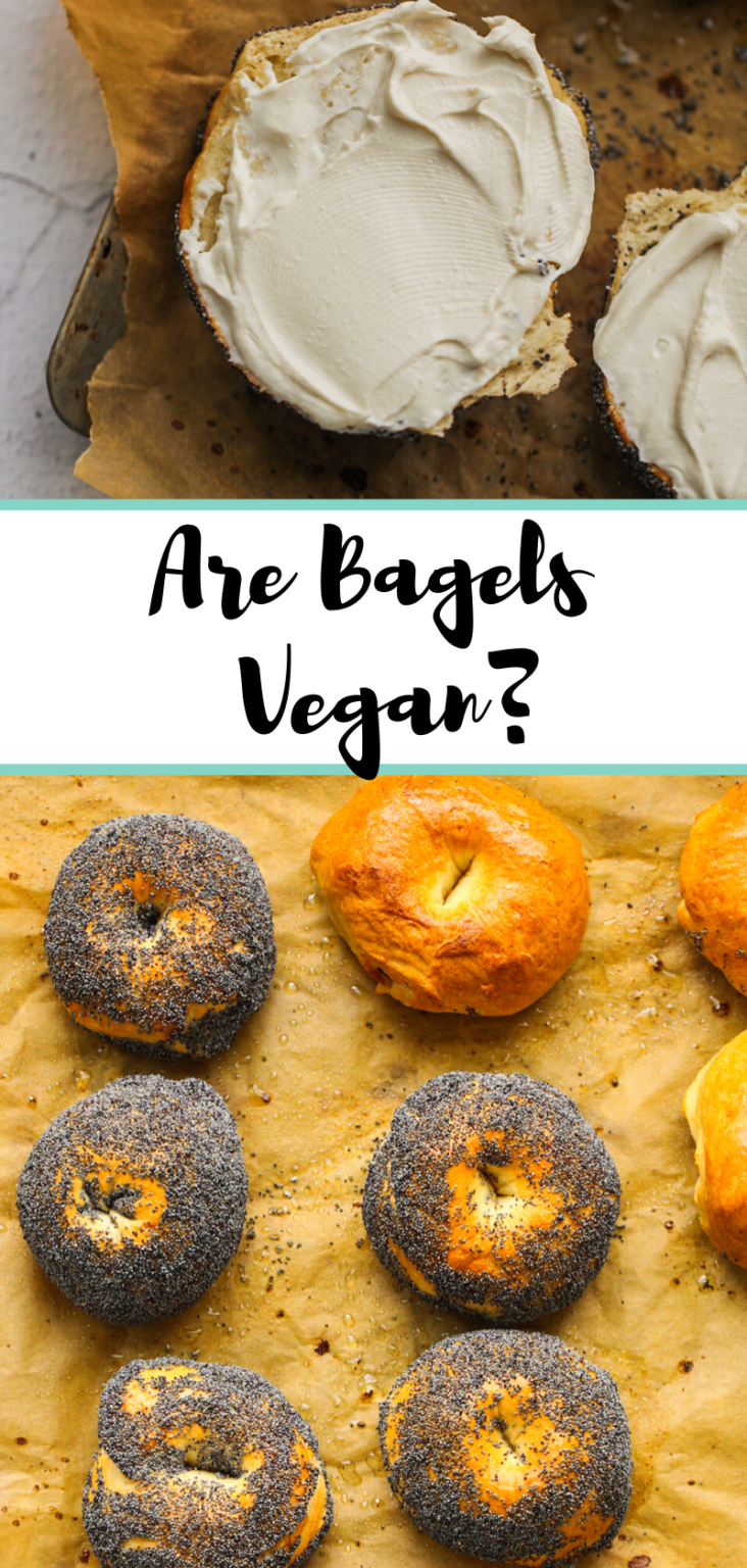 Are Bagels Vegan?