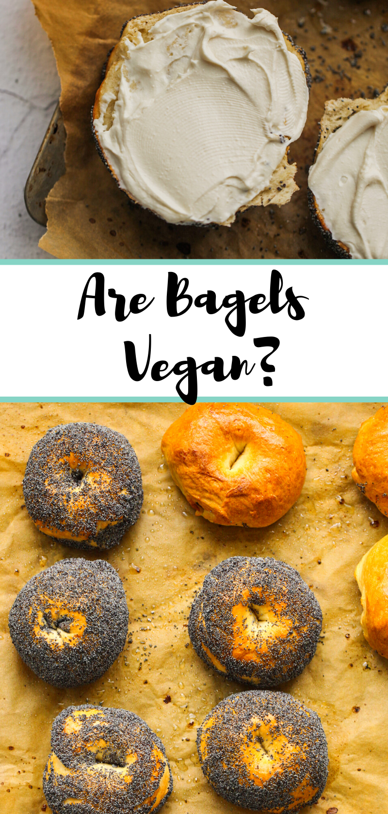 are bagels vegan pin