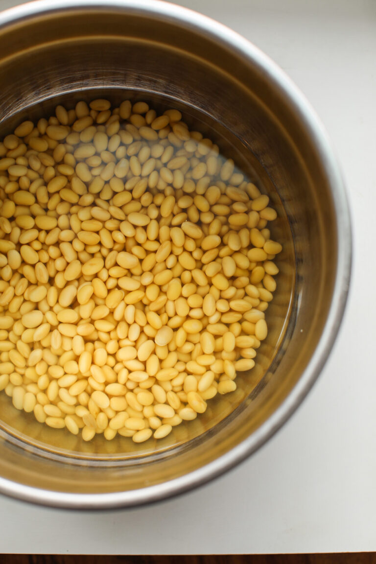 How to Make Soy Milk Recipe