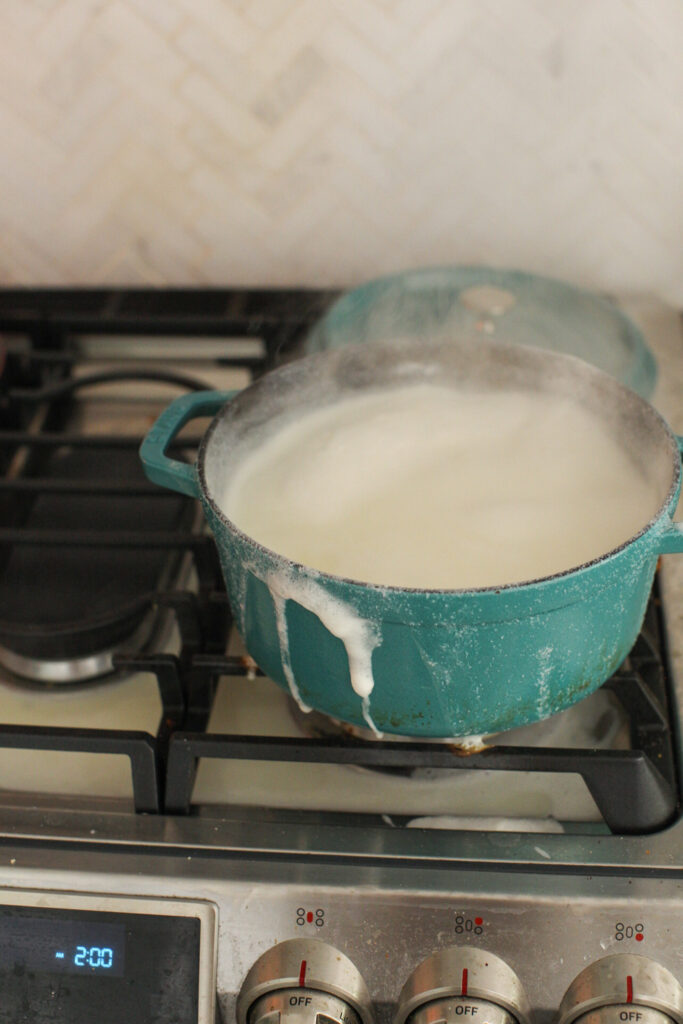 How to Make Soy Milk Recipe