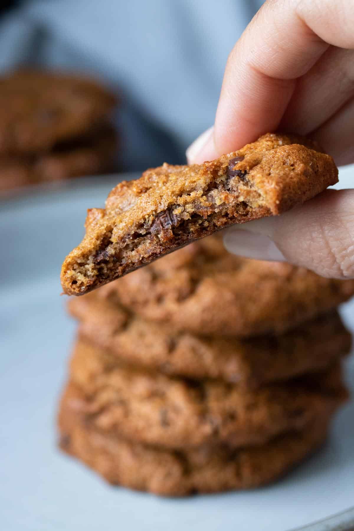 chocolate chip cookies by sophia