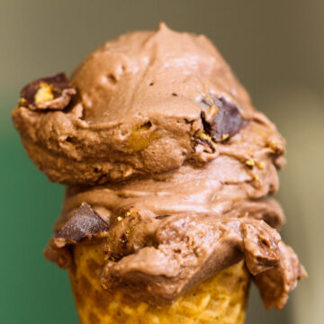 Dairy-Free Chocolate Peanut Butter Ice Cream