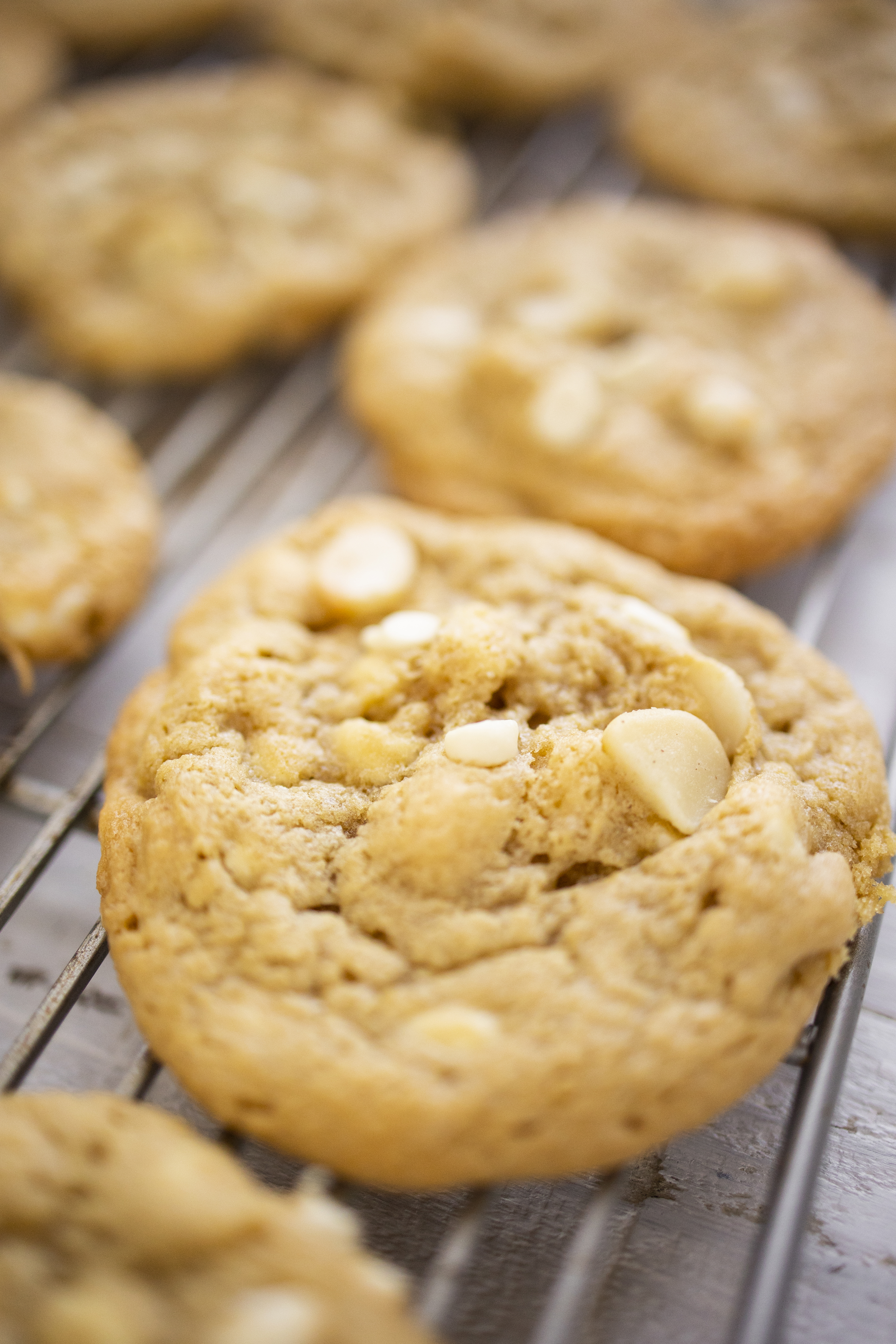 macadamia nut cookies