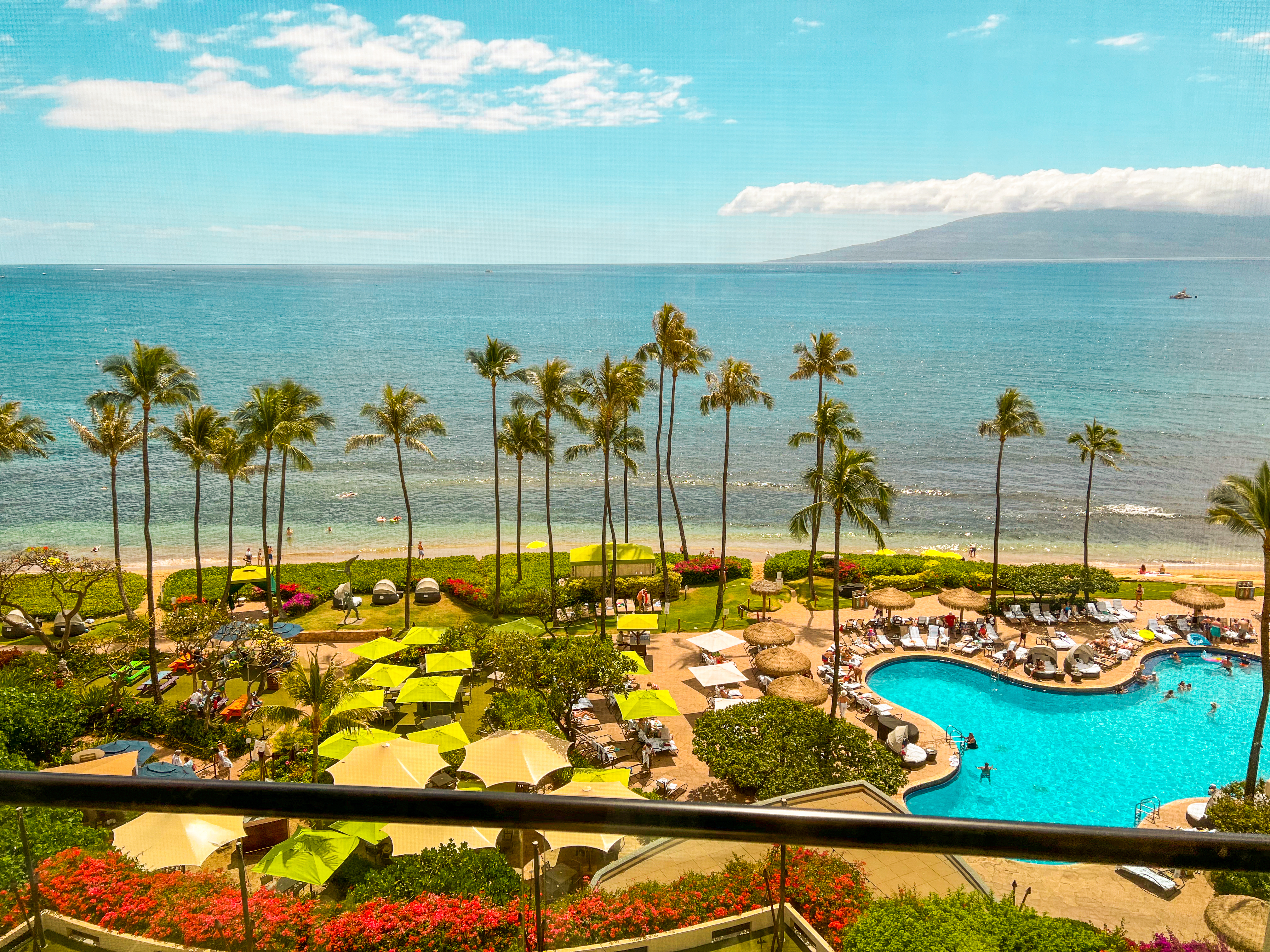 hyatt maui