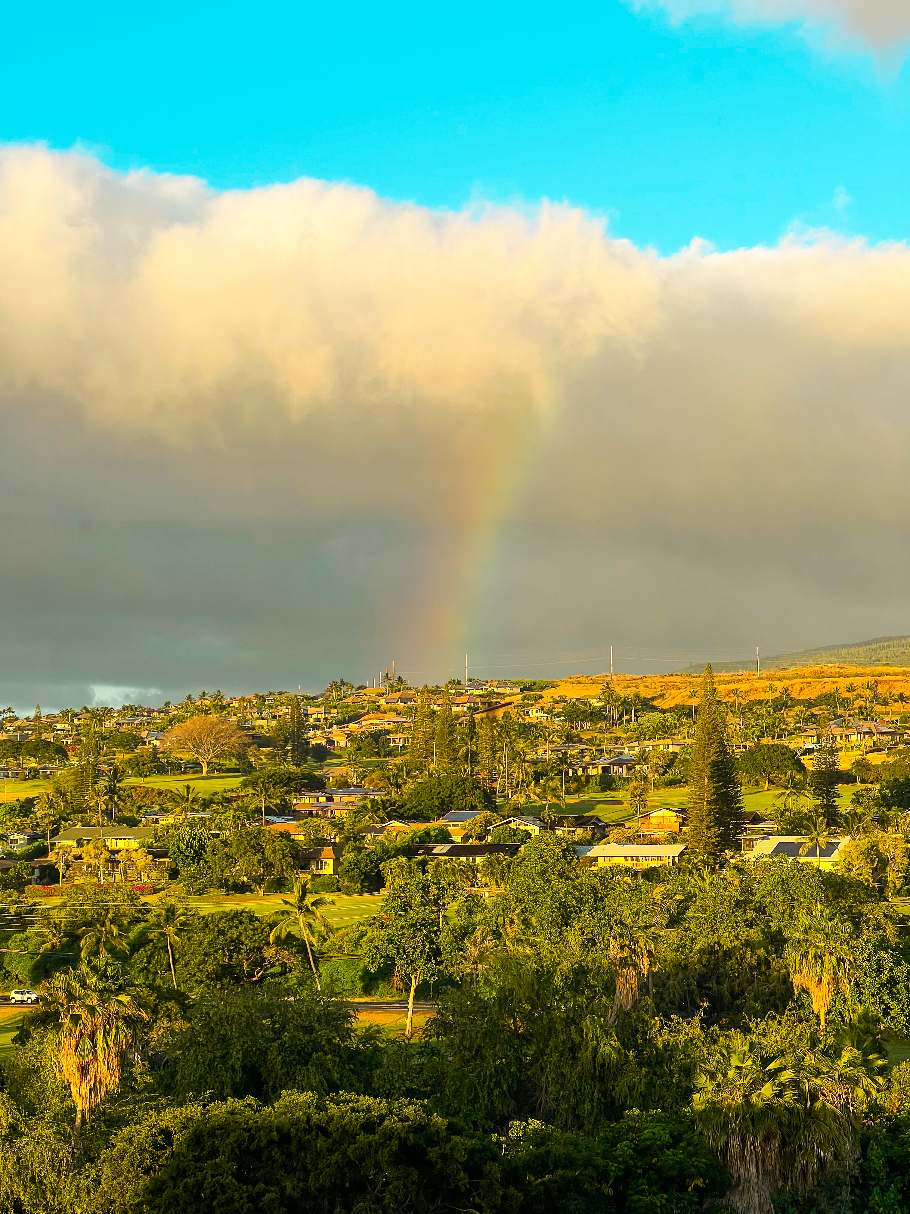 rainbow in maui