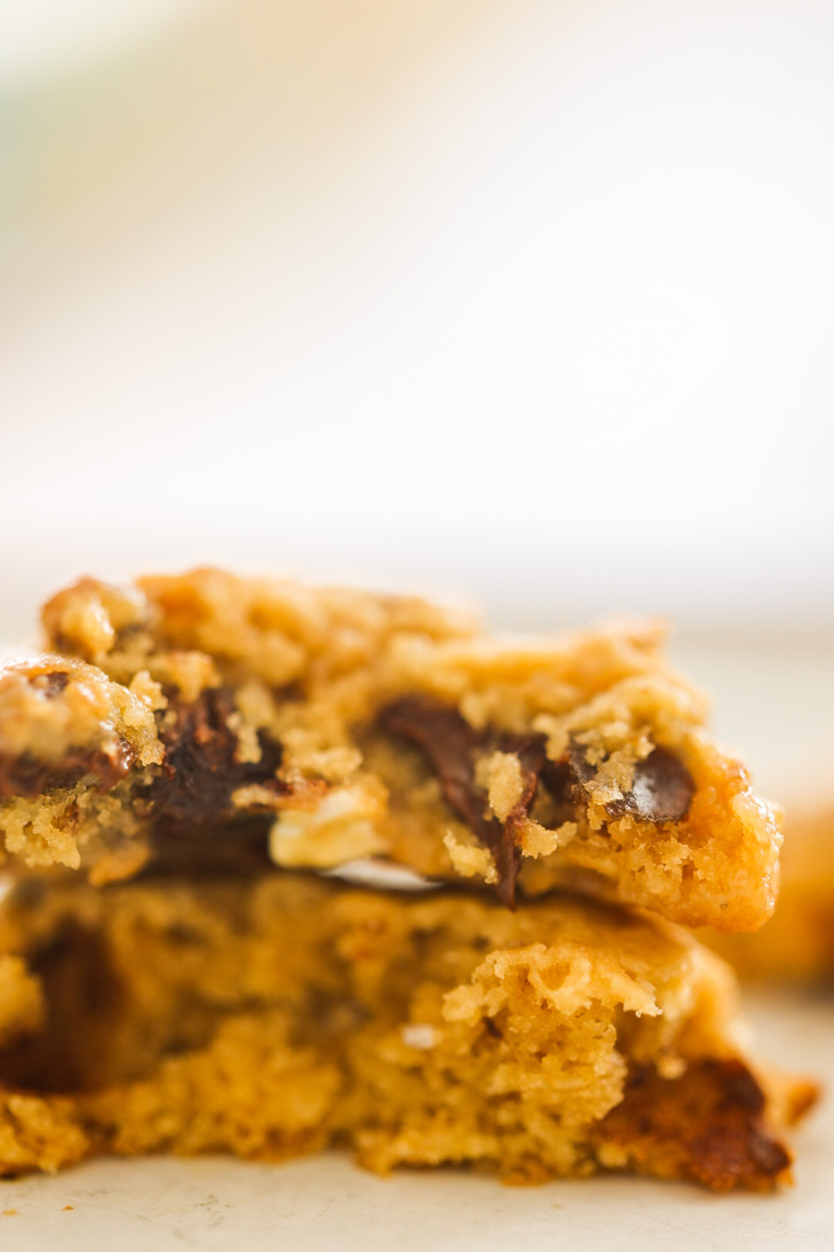 bite of oatmeal cookie with chocolate