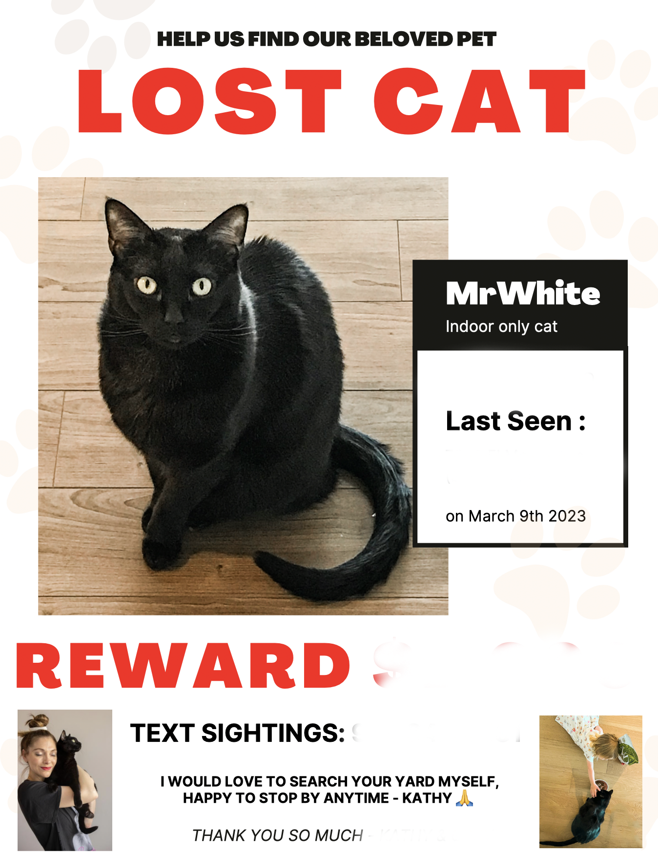 lost cat sign