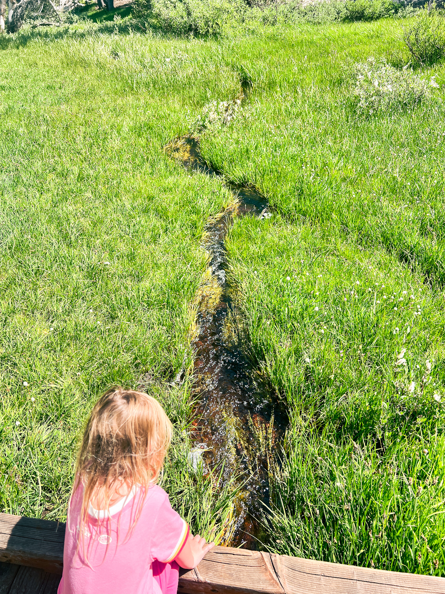 hiking with a toddler lake tahoe