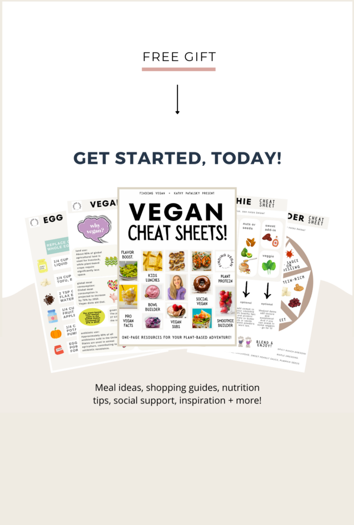 BIG Vegan Cheese Guide + Reviews! - HealthyHappyLife.com