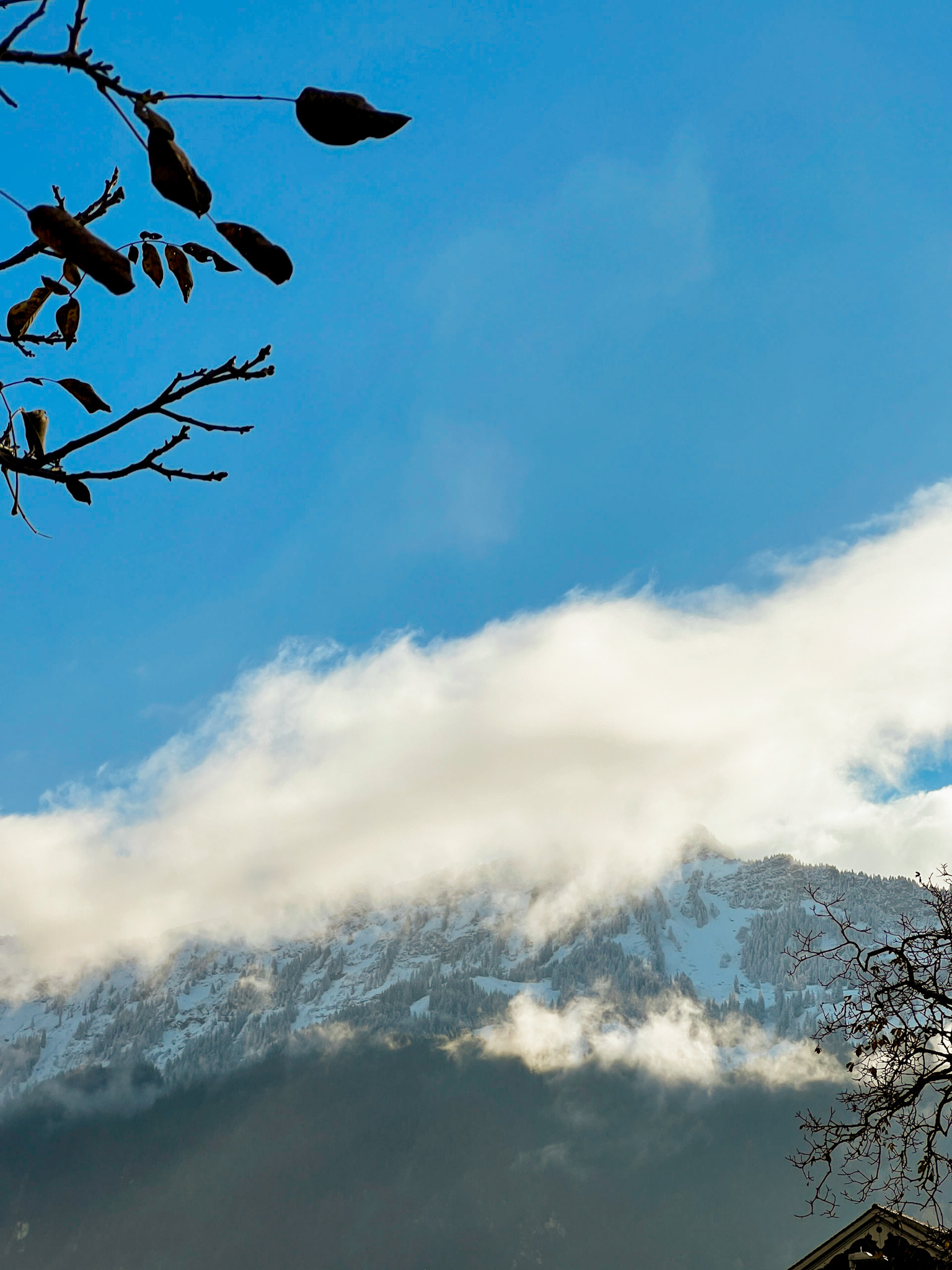 swiss alps in fall, interlaken, blue sky