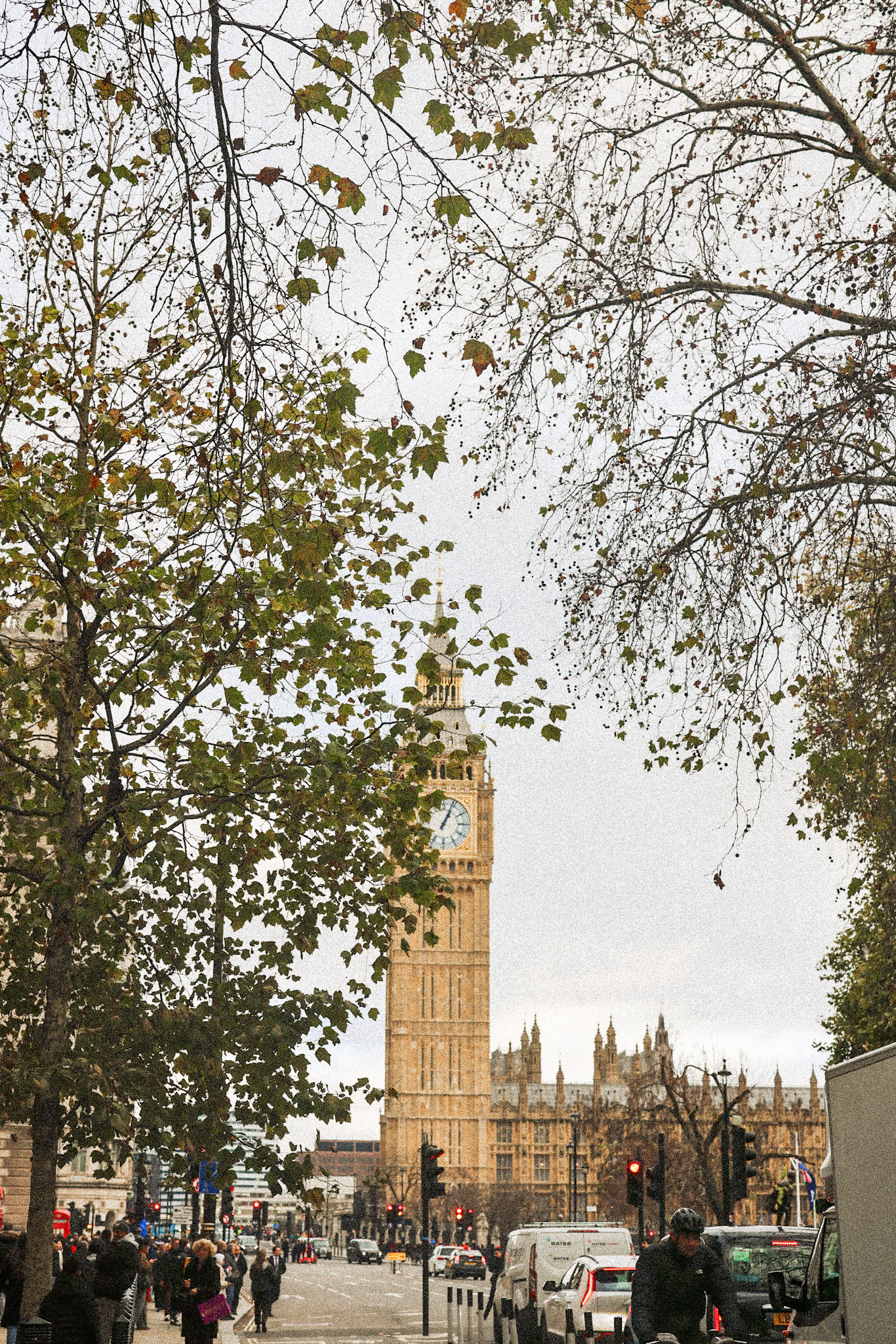 Big Ben through trees